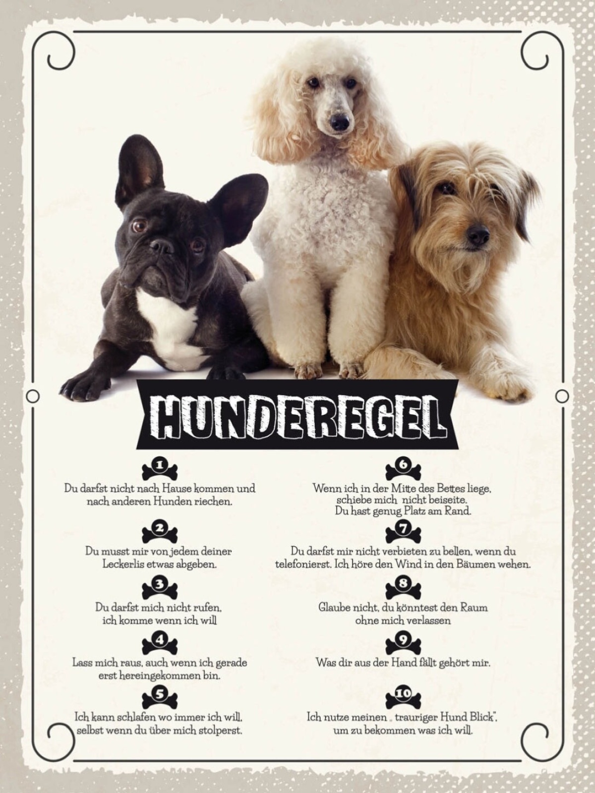 Schild Hunderegel Hund Haus Tier Liebe Zuhause 12x18 20x30 30x40 Blech/Holz