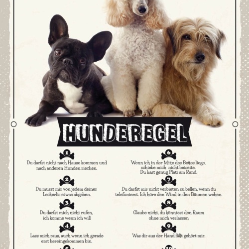 Schild Hunderegel Hund Haus Tier Liebe Zuhause 12x18 20x30 30x40 Blech/Holz