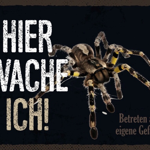 Schild Hier Wache Ich Vogelspinne Gefahr Haus Tier 12x18 20x30 30x40 Blech/Holz