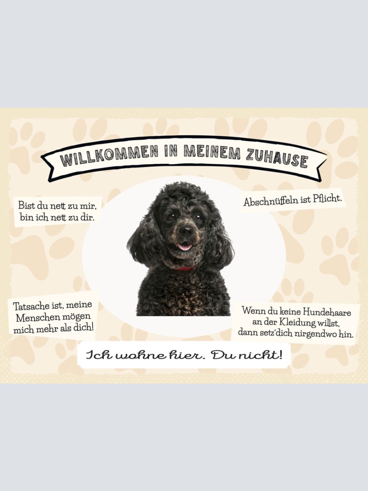 Schild Willkommen In Meinem Zuhause Pudel Hund Tier 12x18 20x30 30x40 Blech/Holz