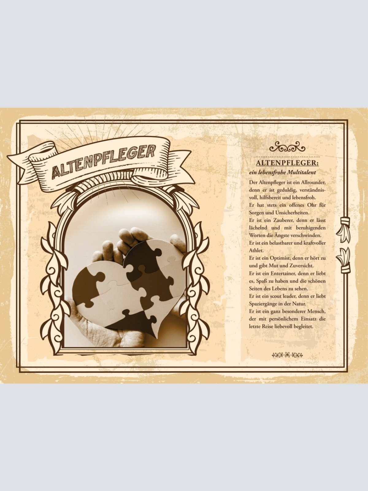 Schild Altenpfleger Beruf Pflege Senioren Heim 12x18 20x30 30x40 Blech/Holz