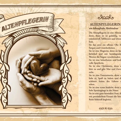 Schild Altenpflegerin Beruf Pflege Senioren Heim 12x18 20x30 30x40 Blech/Holz