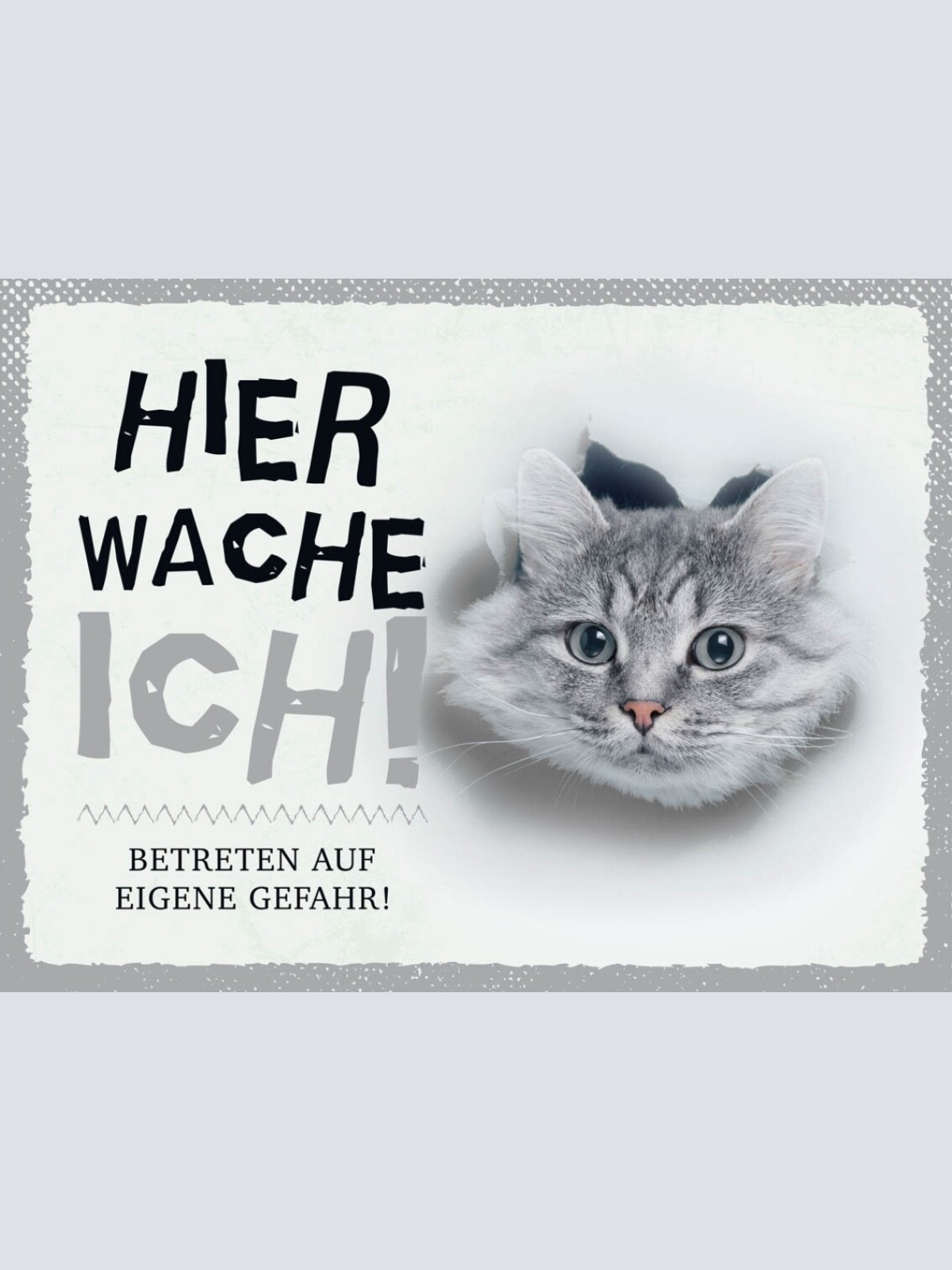 Schild Hier Wache Ich Getigerte Katze Gefahr Tier 12x18 20x30 30x40 Blech/Holz
