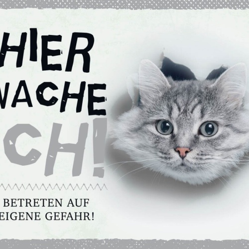 Schild Hier Wache Ich Getigerte Katze Gefahr Tier 12x18 20x30 30x40 Blech/Holz