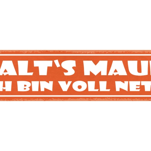 Schild Halt's Maul Ich Bin Voll Nett Freundlich Beschimpfen 46x10 Blech od. Holz