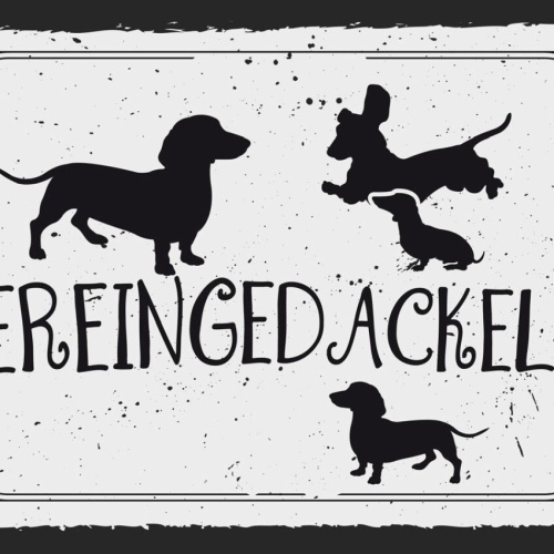 Schild Hereingedackelt Dackel Hund Haus Tier Tür 12x18 20x30 30x40 Blech/Holz