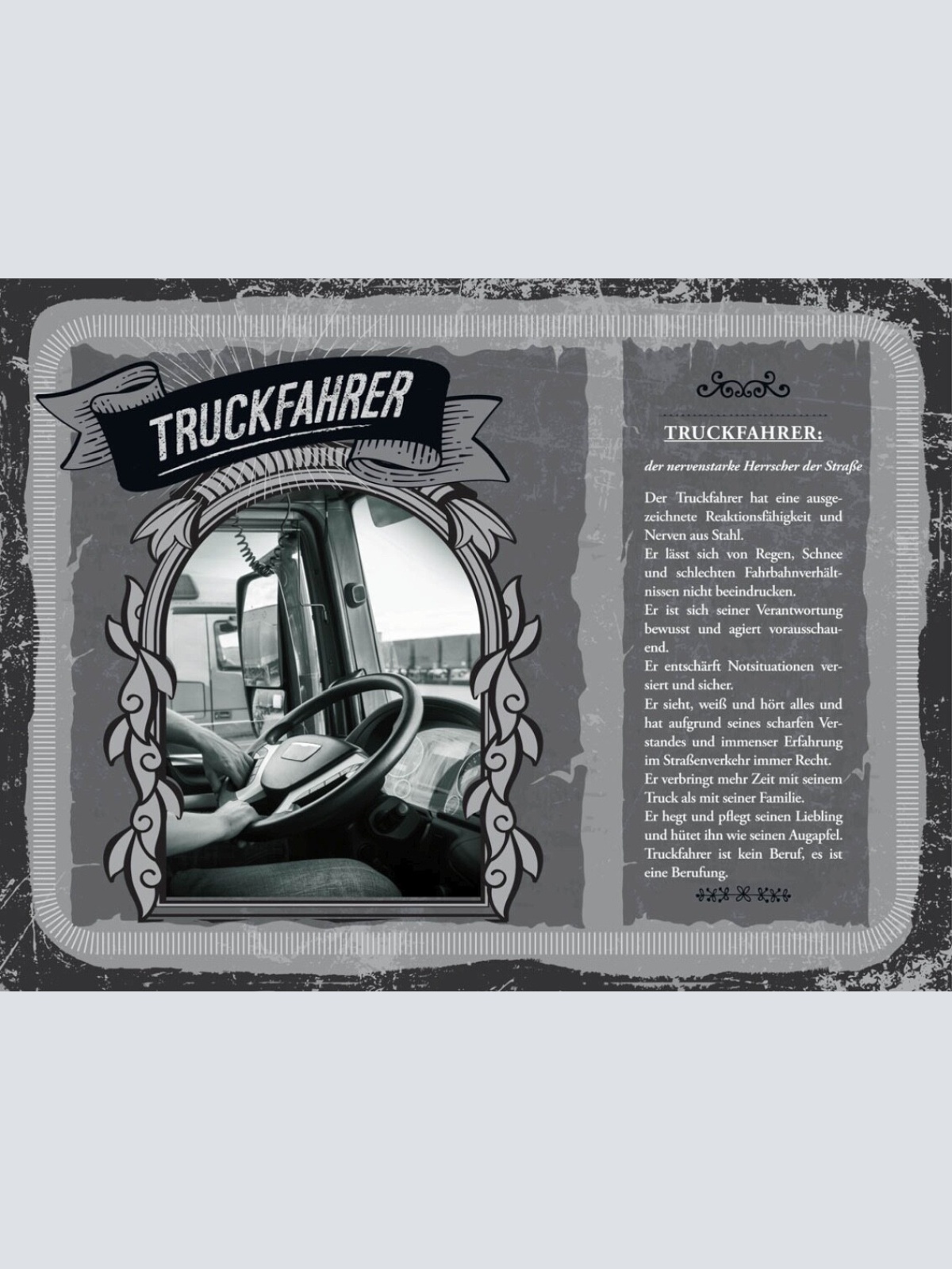 Schild Truckfahrer Beruf LKW Lastwagen Truck Fahren 12x18 20x30 30x40 Blech/Holz