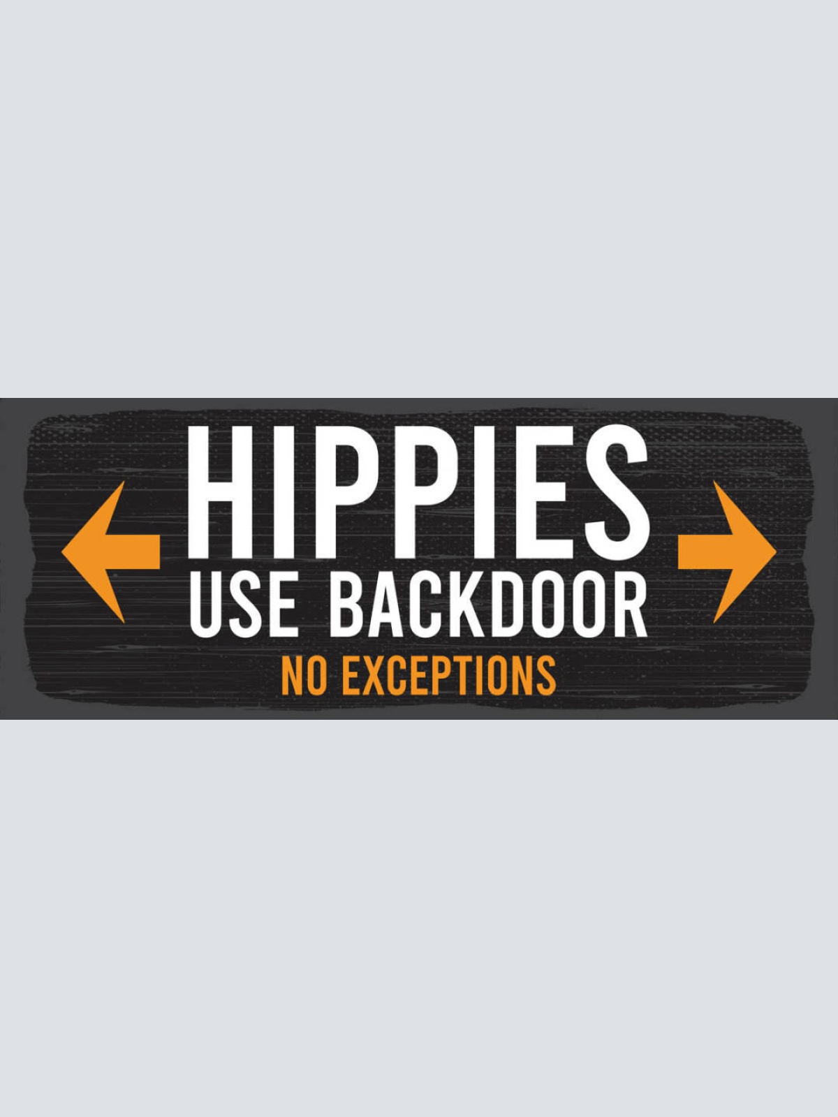 Schild Hippies Use Backdoor No Exceptions Hintertür Hippie 27x10 Blech od.Holz