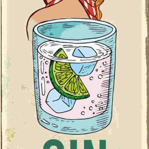 Schild Gin Drinking Are Sassy Classy Smart Assy Alkohol 27x10 Blech od.Holz