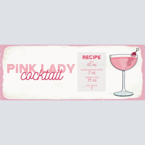Schild Pink Lady Cocktail Rezept Bar Alkohol Drink Gin Wermut 27x10Blech od.Holz