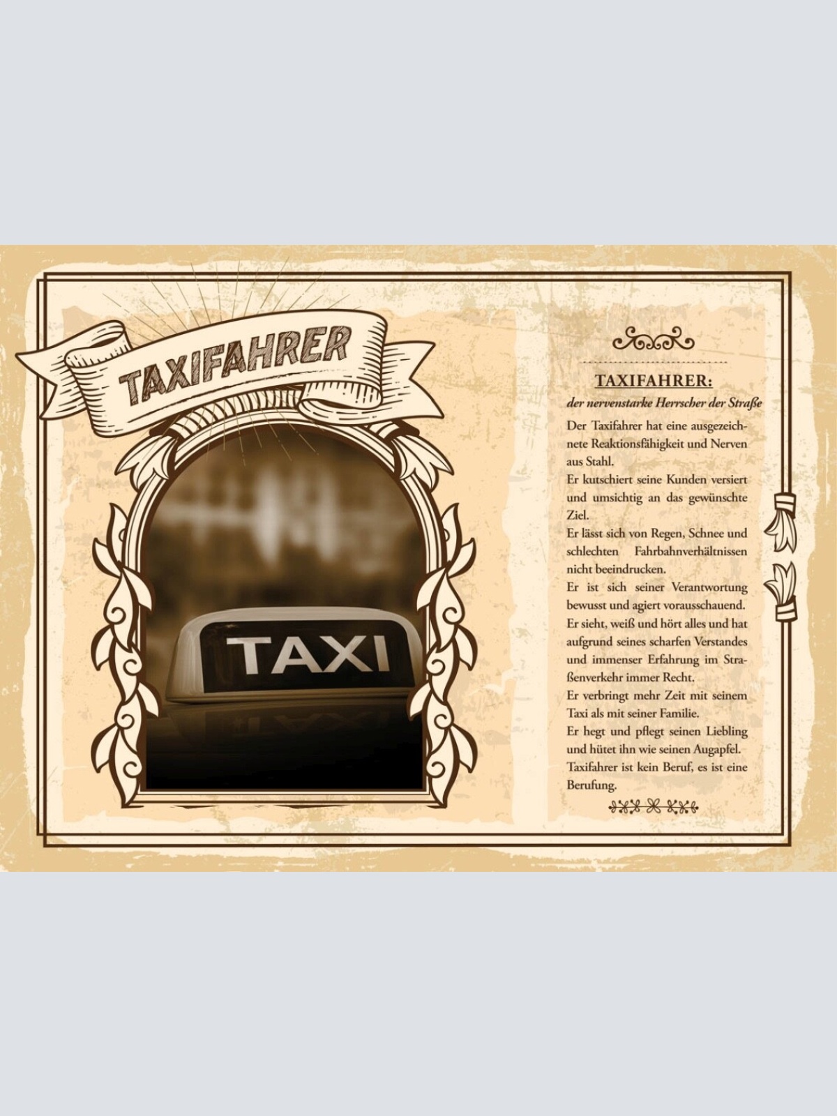 Schild Taxifahrer Beruf Taxi Lenker Chauffeur Auto 12x18 20x30 30x40 Blech/Holz
