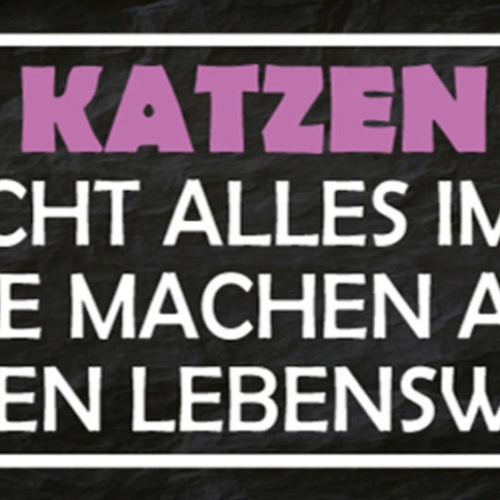 Schild Katzen Sind Nicht Alles Im Leben Aber Sie Machen Alles Lebenswert 27x10