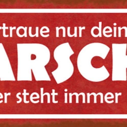 Schild Vertraue Nur Deinen Arsch Denn Der Steht Immer Hinter Dir Hintern 27x10