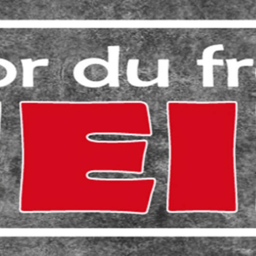 Schild Bevor Du Fragst Nein Antwort Negativ Ablehnen Absage 27x10 Blech od.Holz