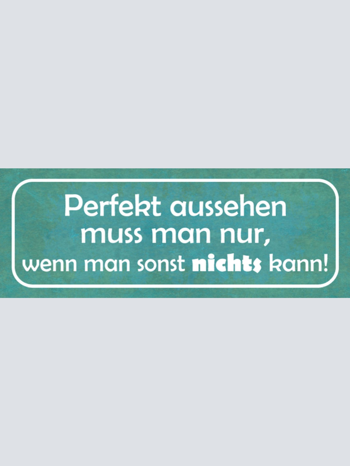 Schild Perfekt Aussehen Muss Man Nur Wenn Man Sonst Nichts Kann 27x10