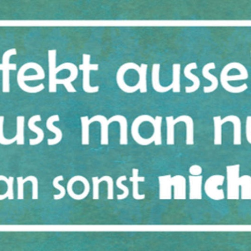 Schild Perfekt Aussehen Muss Man Nur Wenn Man Sonst Nichts Kann 27x10