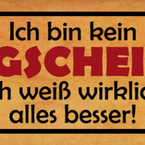 Schild Ich Bin Kein Klugscheisser Ich Weiß Wirklich Alles Besser 27x10