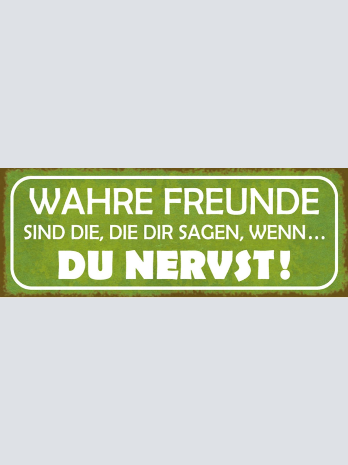 Schild Wahre Freunde Sind Die Die Dir Sagen Wenn Du Nervst 27x10 Blech od.Holz
