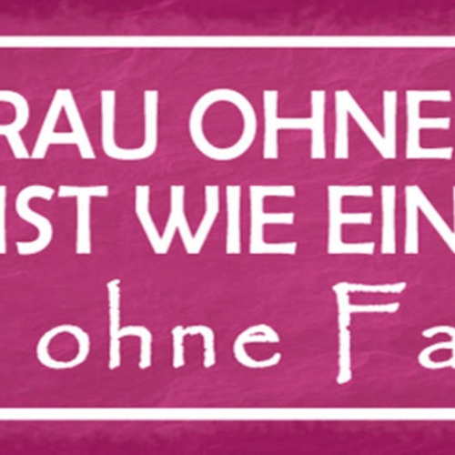 Schild Eine Frau Ohne Mann Ist Wie Ein Fisch Ohne Fahrrad 27x10 Blech od.Holz
