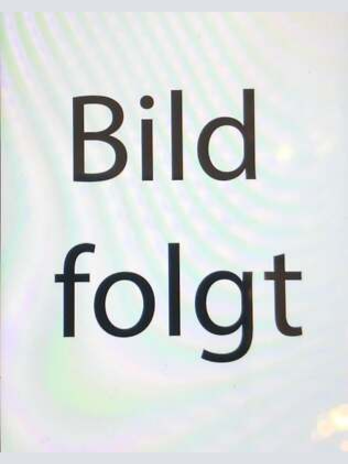 Nostalgie Holzschild Bayern  Mechaniker