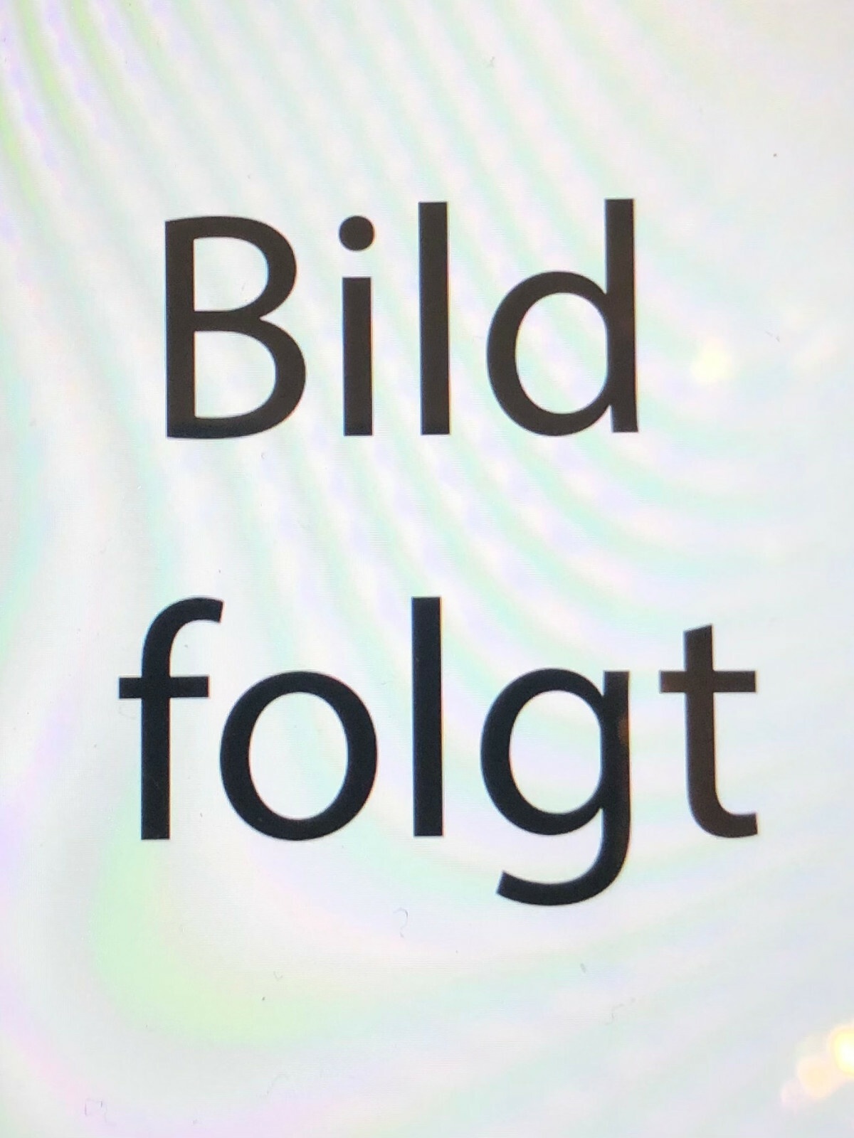 Nostalgie Holzschild Bayern Hochlöblicher Magister