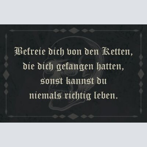 Nostalgie Schild Frei Ketten Richtig Leben 12x18 / 20x30 / 30x40 Blech od.Holz