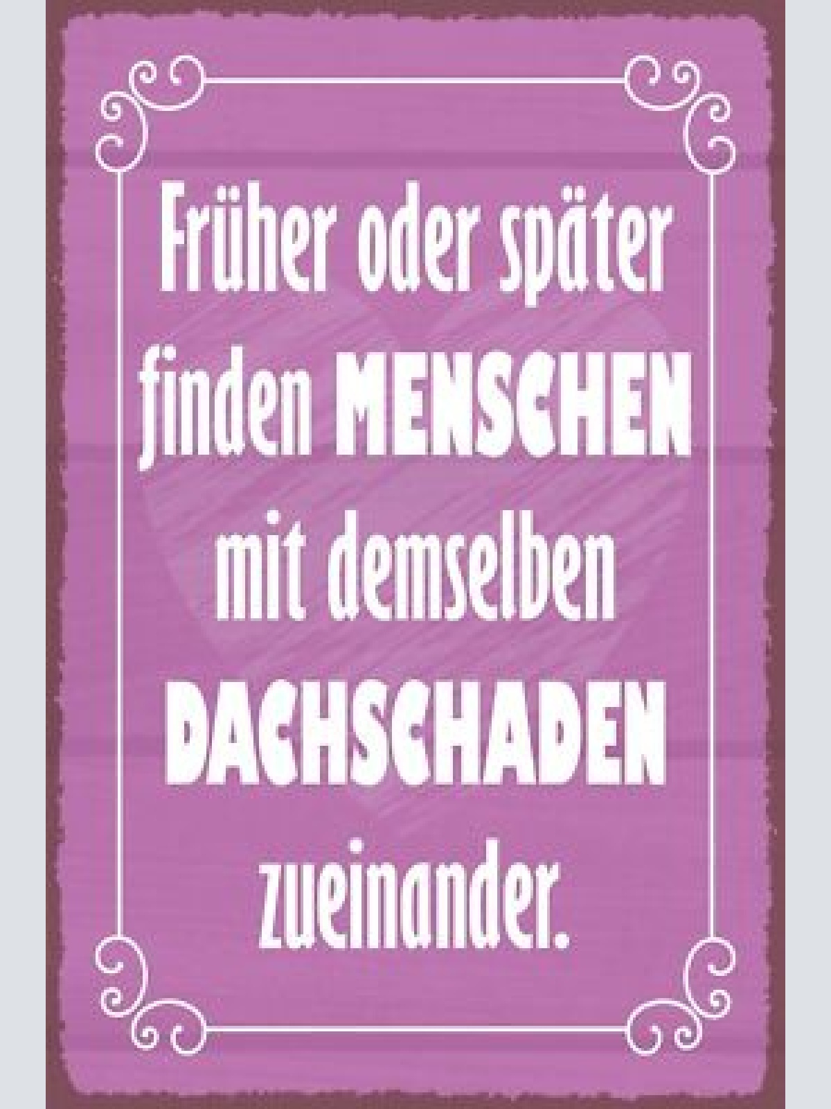 Nostalgie schild menschen dachschaden liebe 12x18 / 20x30 / 30x40 blech od. holz