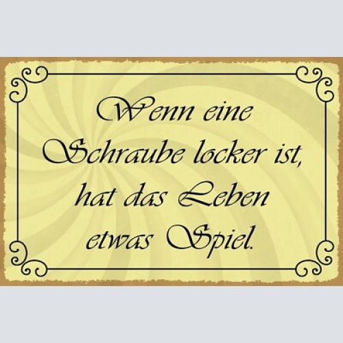 Nostalgie schild schraube locker leben spiel 12x18 / 20x30 / 30x40 blech od.holz