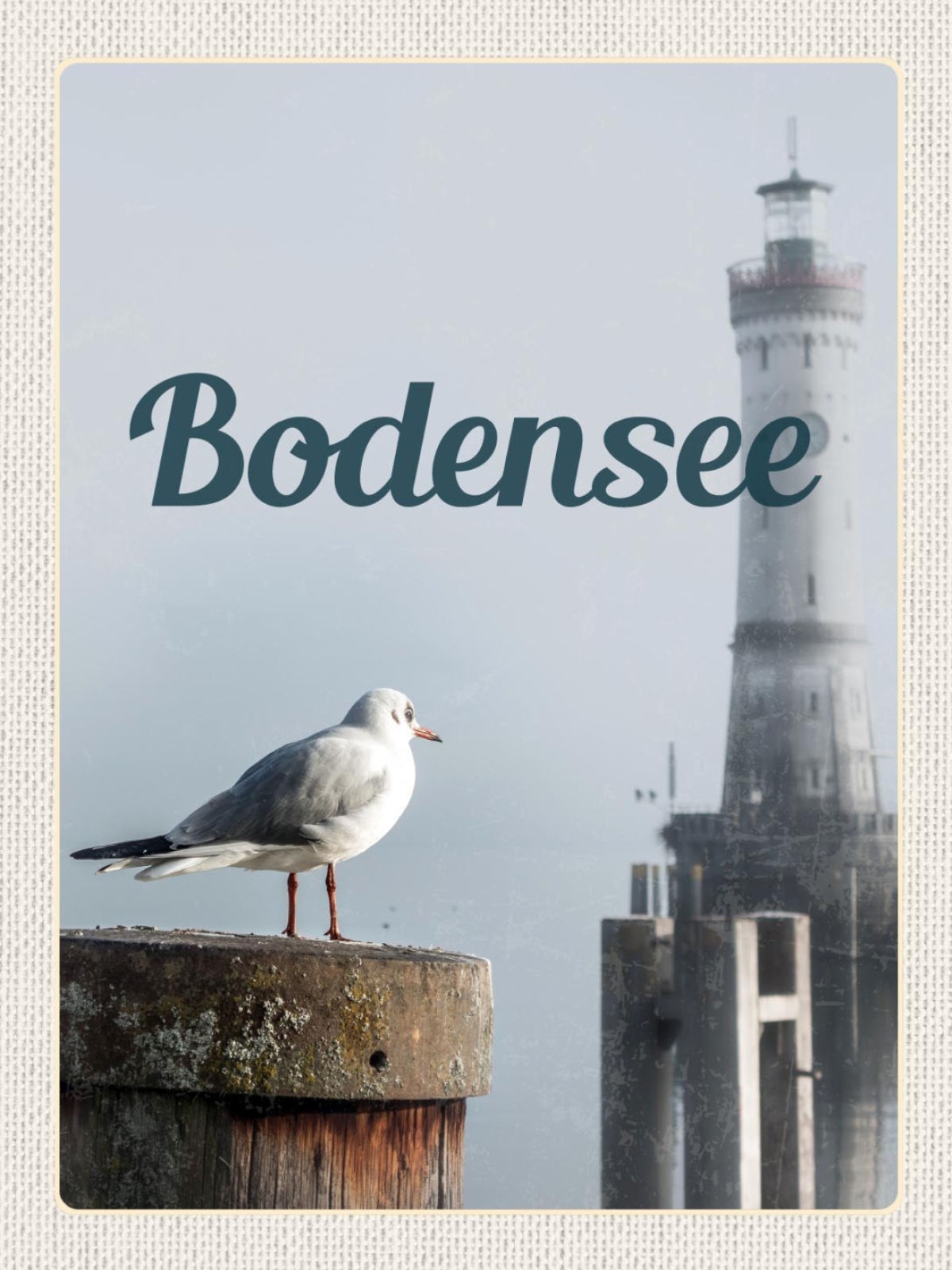 Schild Bodensee Möwe Leuchtturm D Ö CH 12x18 20x30 30x40 Blech od. Holz