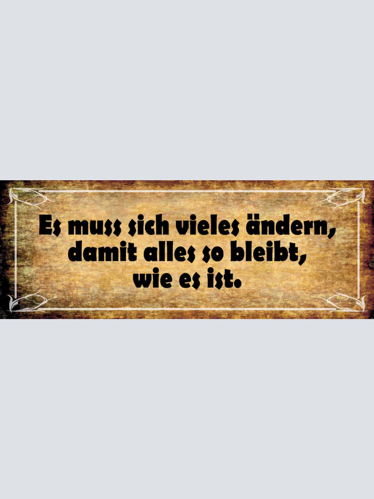 Schild Es Muss Sich Vieles Ändern Damit Alles So Bleibt Wie Es Ist 27x10