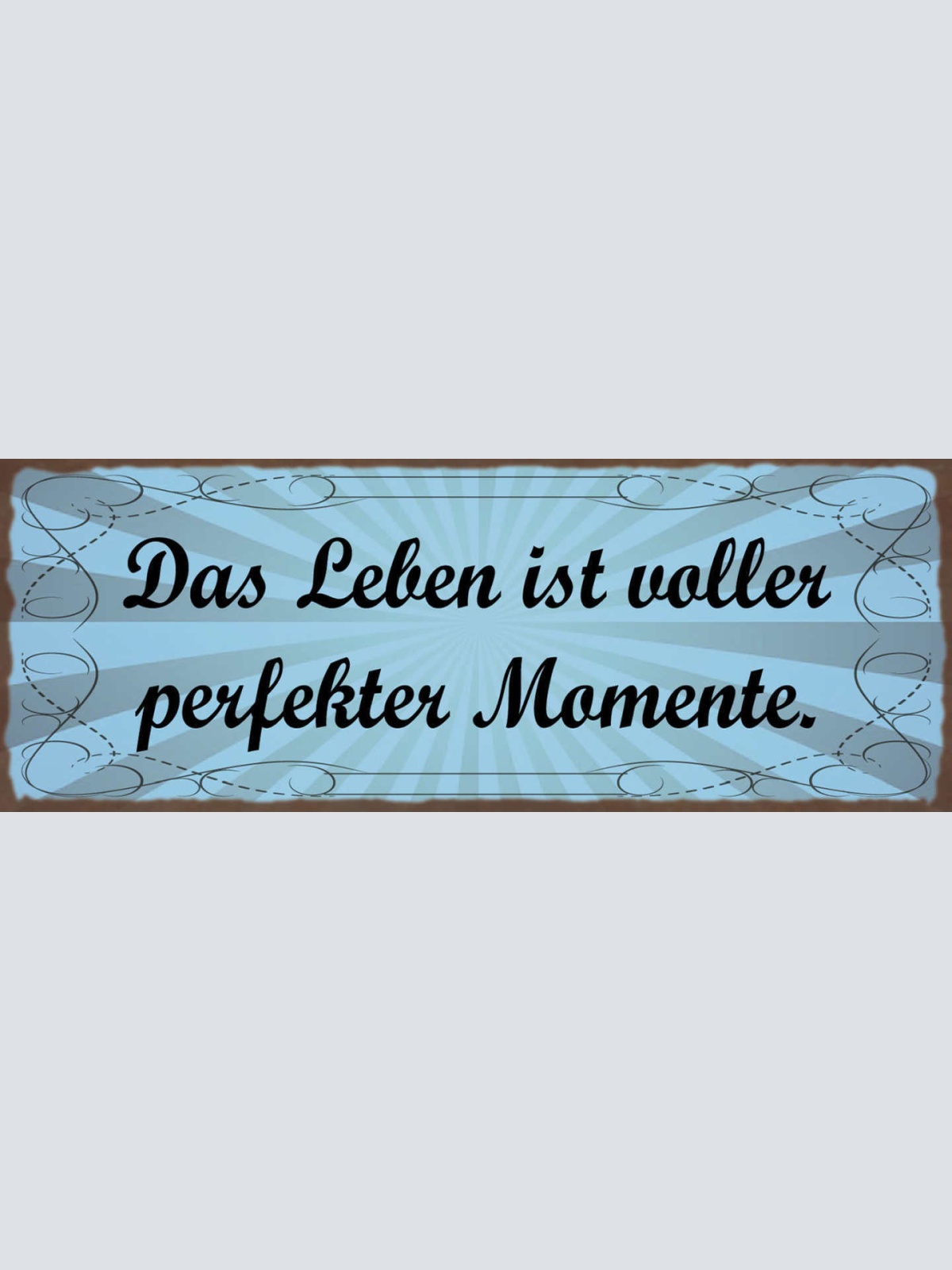 Schild Das Leben Ist Voller Perfekter Momente Erfahrungen 27x10 Blech od.Holz