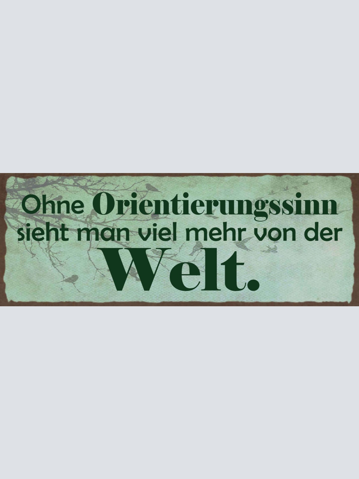 Schild Ohne Orientierungssinn Sieht Man Mehr Von Der Welt 27x10 Blech od.Holz