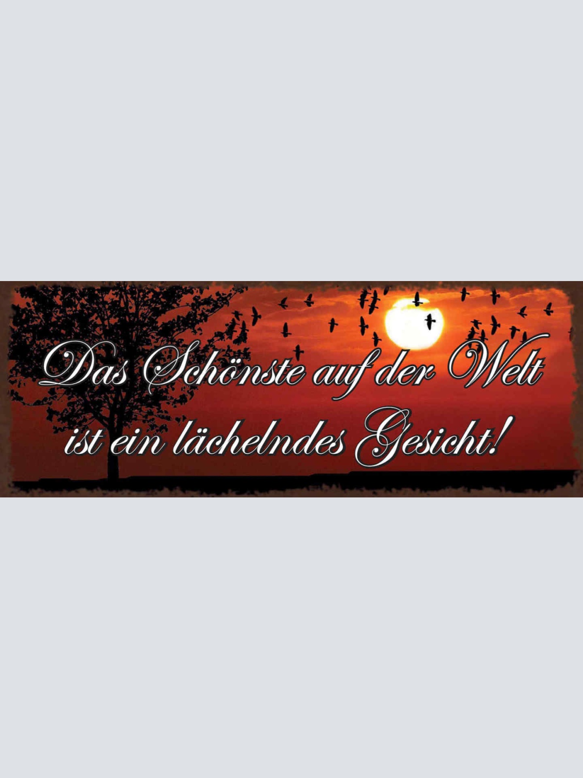 Schild Das Schönste Auf Der Welt Ist Ein Lächelndes Gesicht 27x10 Blech od.Holz