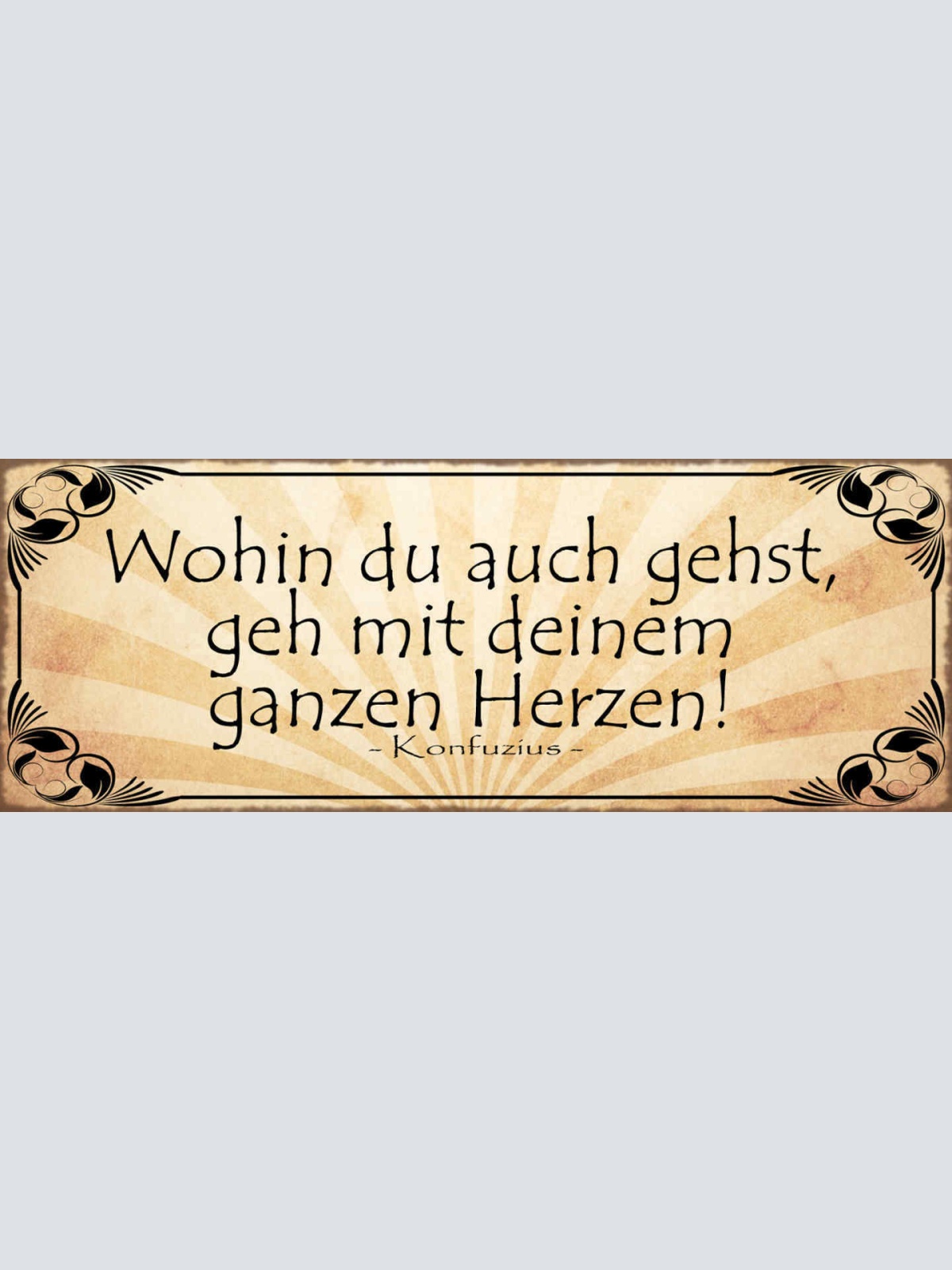 Schild Wohin Du Auch Gehst Gehe Mit Deinem Herzen Konfuzius 27x10 Blech od.Holz