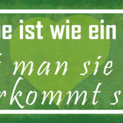 Schild Die Liebe Ist Wie Ein Garten Pflegt Man Sie Nicht Verkommt Sie 27x10