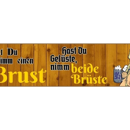 Schild Brust Brüste Frau Dirndl Tracht Bier Zöpfe Blond 46 x 10 Blech od. Holz