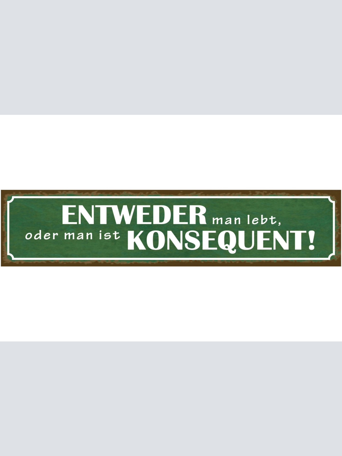 Schild Entweder Man Lebt Oder Man Ist Konsequent Leben 46 x 10 Blech od. Holz