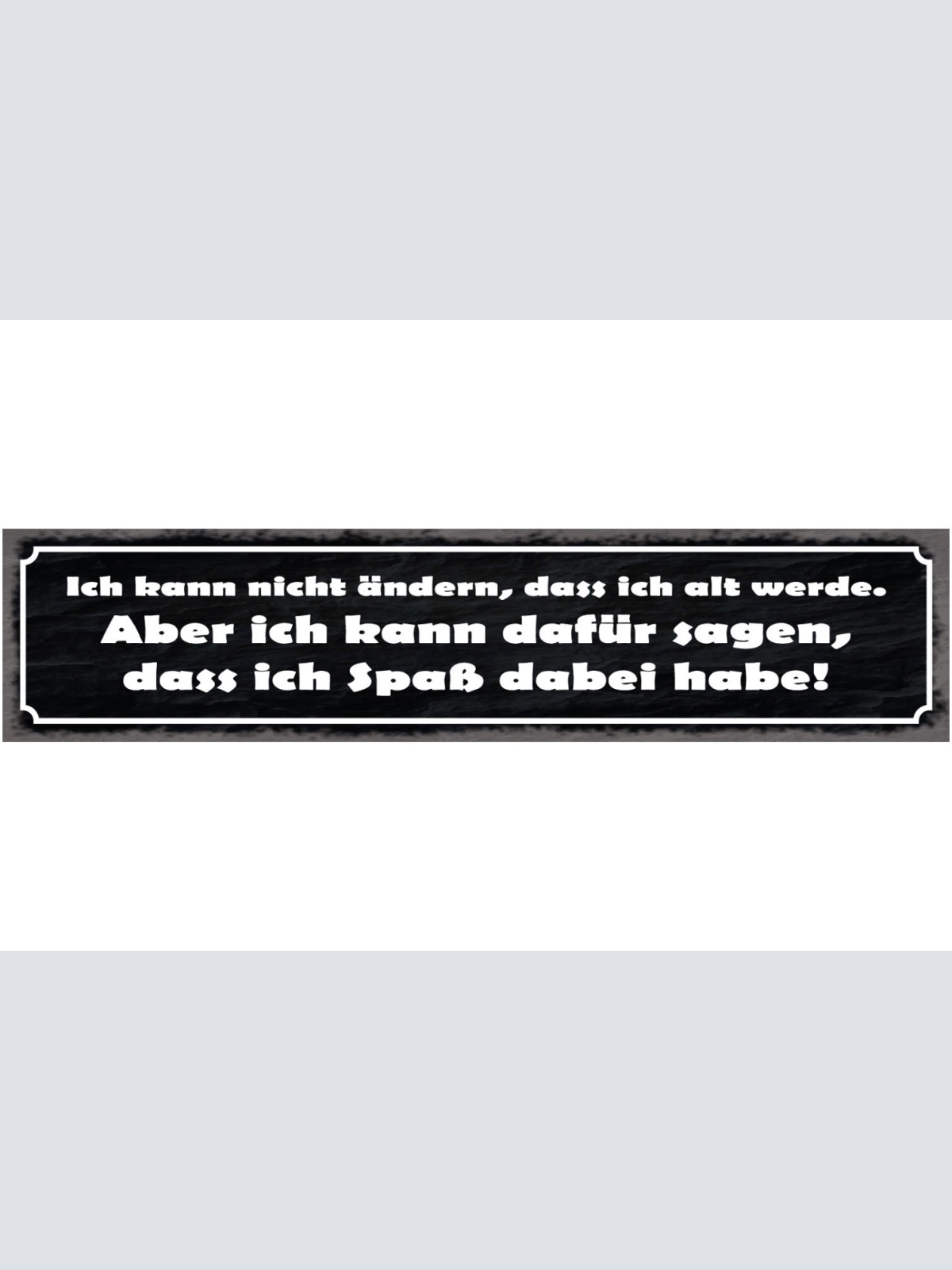 Schild Nichts Ändern Alt Werden Dafür Sorgen Spaß Zu Haben 46 x 10 Blech od.Holz