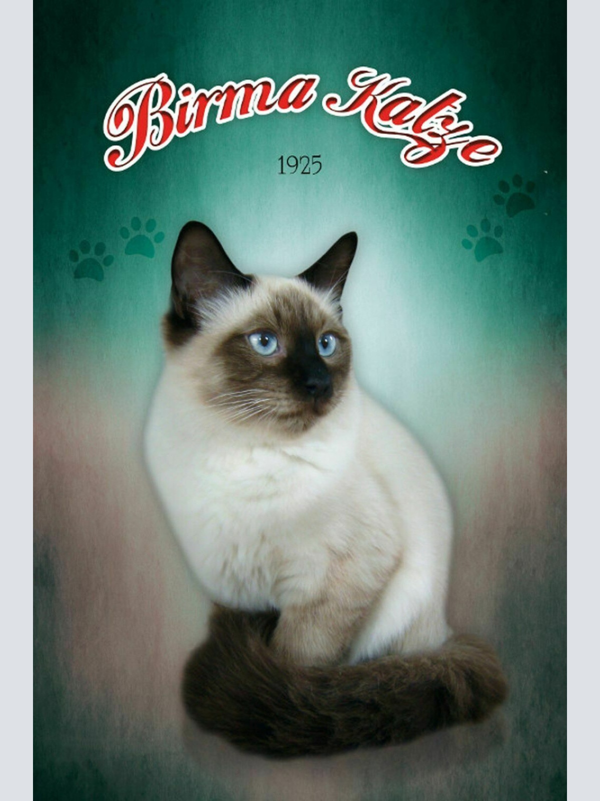 Schild Spruch Birma Katze 1925 JW