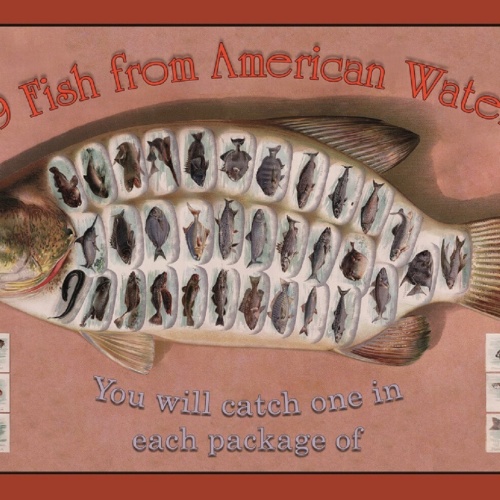 Schild Spruch 39 Fish from American Waters 39 Amerikanische Fischarten JW