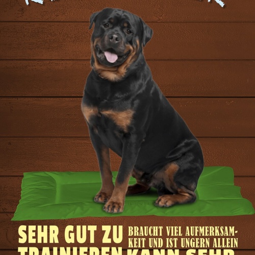 Schild Spruch Rottweiler Steckbrief Ausgeglichen Ungern Allein Hund JW