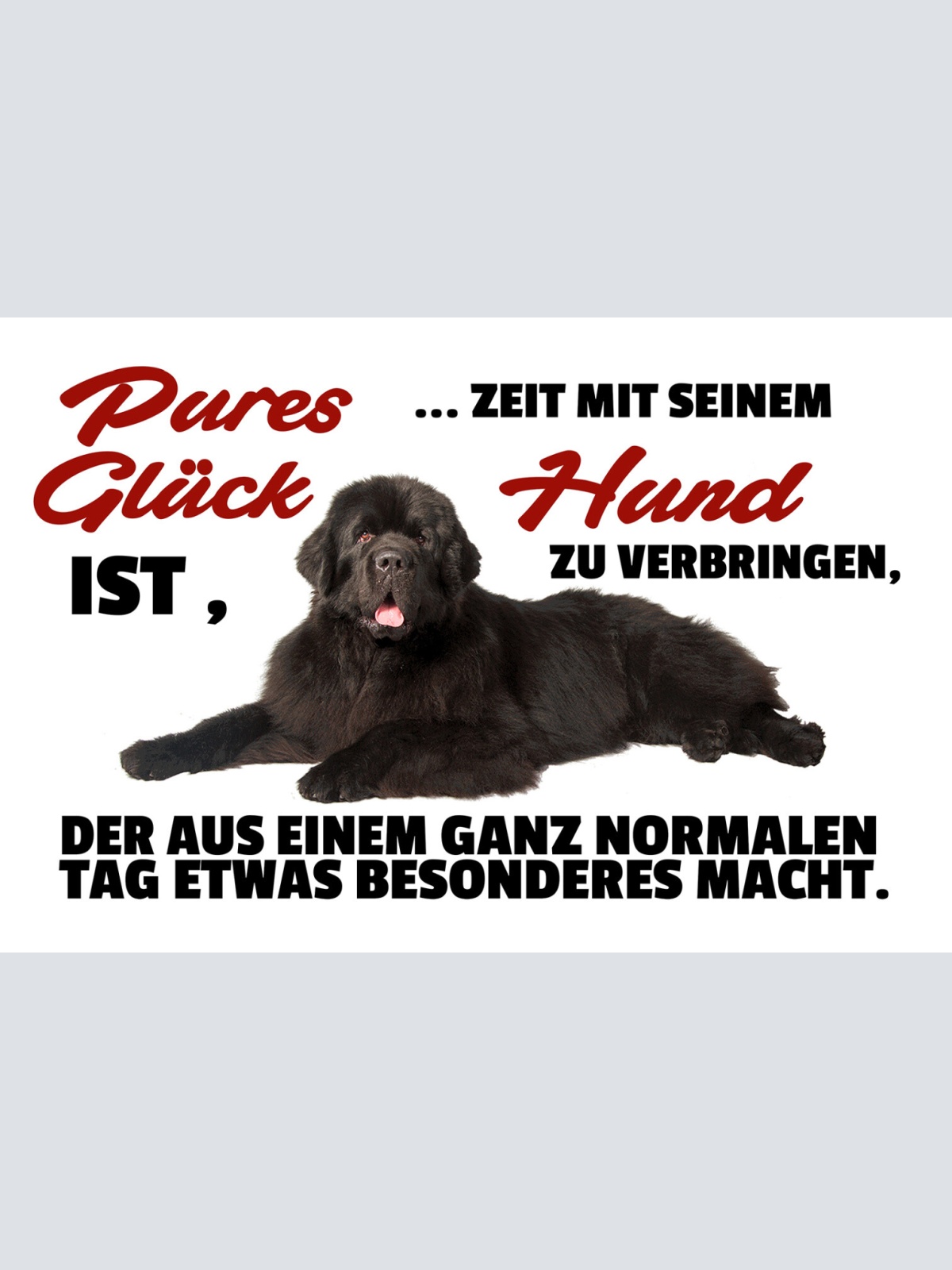 Schild Spruch Pures Glück ist Zeit mit seinem Hund zu verbringen JW