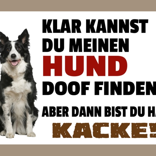 Schild Spruch Klar kannst du meinen Hund doof finden Dann bist du halt Kacke JW