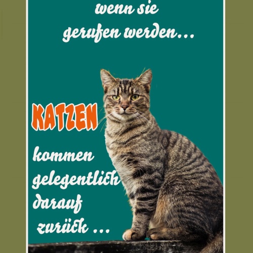 Schild Spruch Hunde kommen wenn gerufen Katzen kommen darauf zurück JW