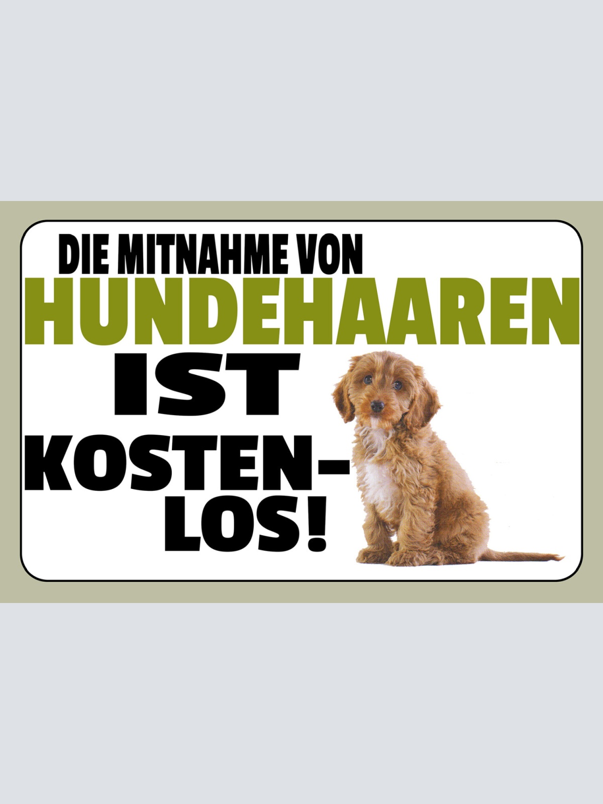 Schild Spruch Die Mitnahme von Hundehaaren ist kostenlos JW