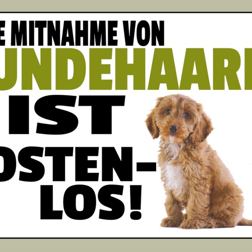 Schild Spruch Die Mitnahme von Hundehaaren ist kostenlos JW