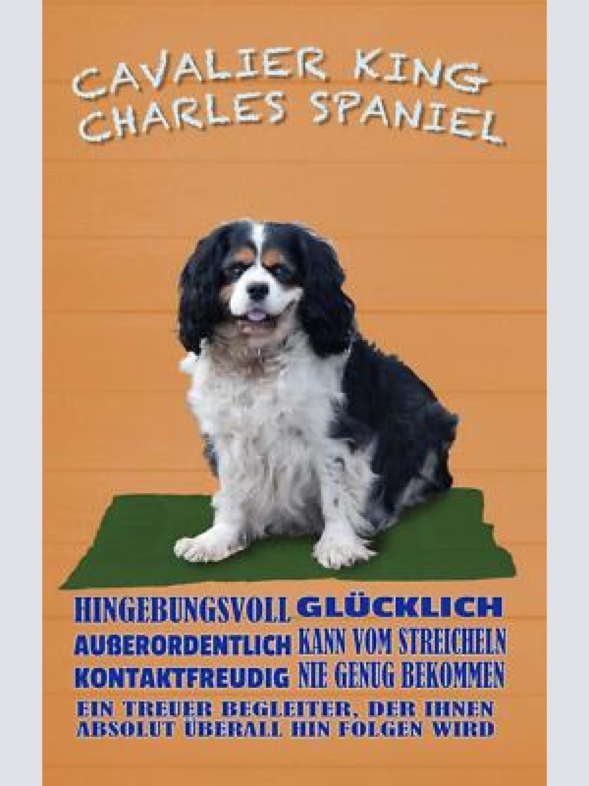 Schild spruch cavalier king charles spaniel steckbrief hingebungsvoll hund jw