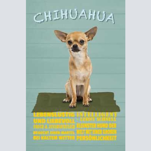 Schild spruch chihuahua steckbrief intelligent lebenslustig liebevoll hund jw