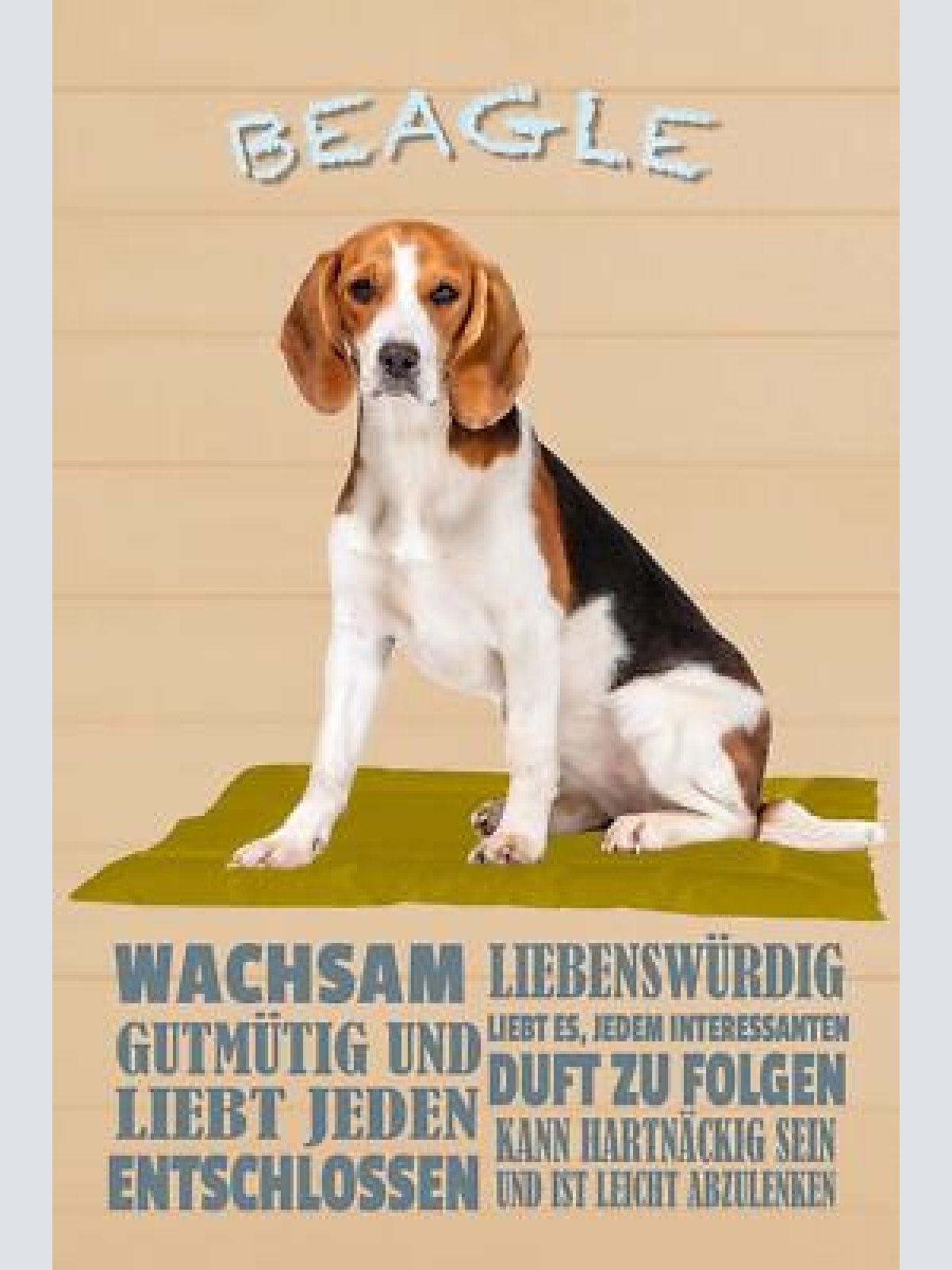 Schild spruch beagle steckbrief wachsam gutmütig liebenswürdig hund jw