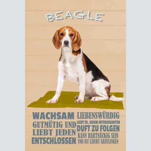 Schild spruch beagle steckbrief wachsam gutmütig liebenswürdig hund jw